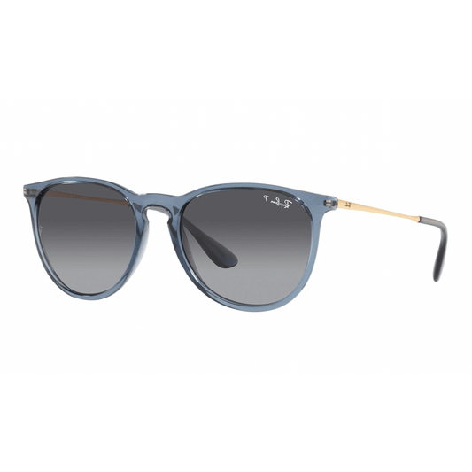 Ray-Ban ERIKA RB4171 6592T3 Polarised Sunglasses