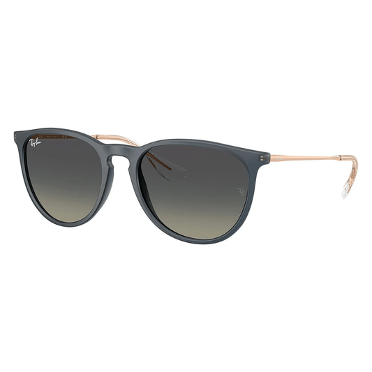 Ray-Ban Erika RB4171 681311 Sunglasses