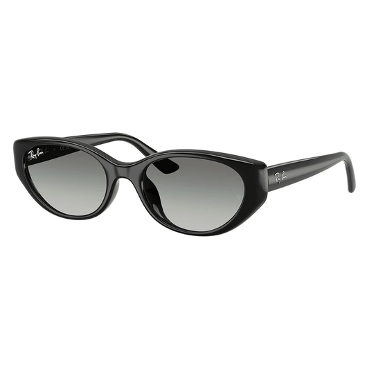 Ray-Ban RB4457D 667711 Sunglasses