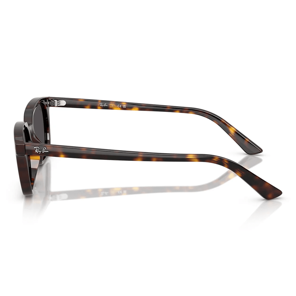 Ray-Ban Zaya RB4456 1359/87 50 Sunglasses