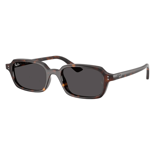 Ray-Ban Zuri RB4455 1359/87 52 Sunglasses